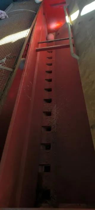 Remolque con depósito y sembradora