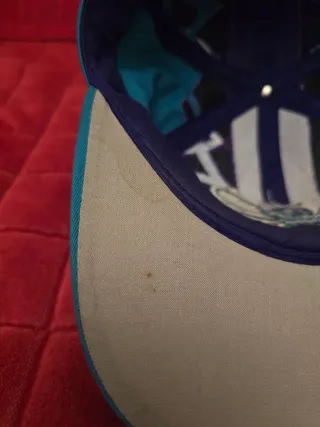 Cappello Charlotte Hornets Hugo mascot NBA USA 90s