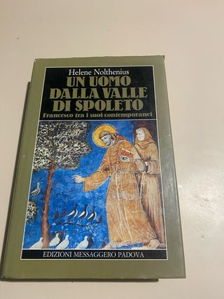 Un uomo dalla valle di Spoleto. Francesco tra i...