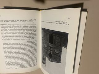 Un uomo dalla valle di Spoleto. Francesco tra i...