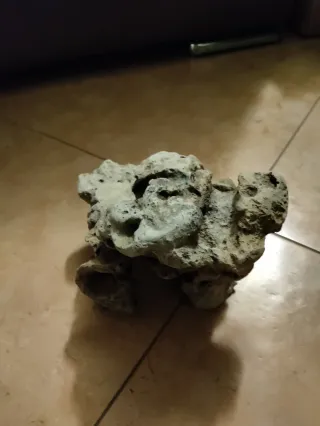 Arredo Acquario/Terrario