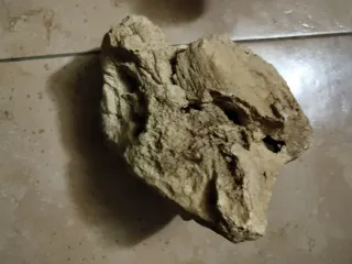 Arredo Acquario/Terrario