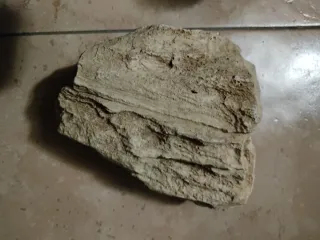 Arredo Acquario/Terrario