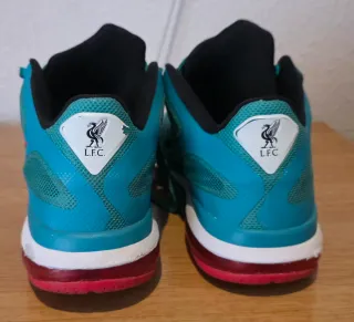 Zapatillas Nike Lebron Talla 42