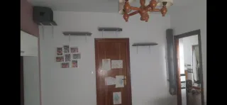 Se realizan piezas de escalada para gatos