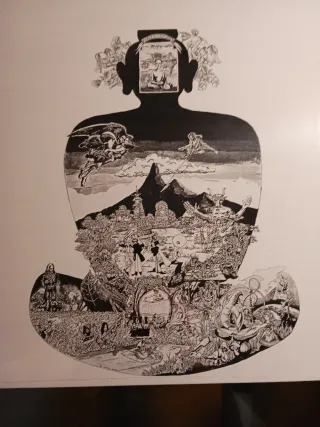 FLOWER TRAVELLIN' BAND SATORI Vinilo