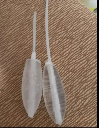 Lote de pesca: señuelos, bombetas y más