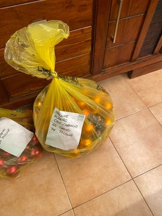 Circa 200 palline albero oro/arancio