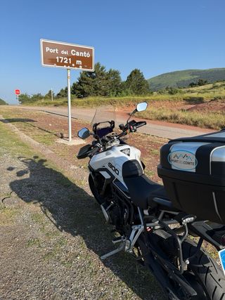 Moto TRIUMPH TIGER 900 GT PRO 2024