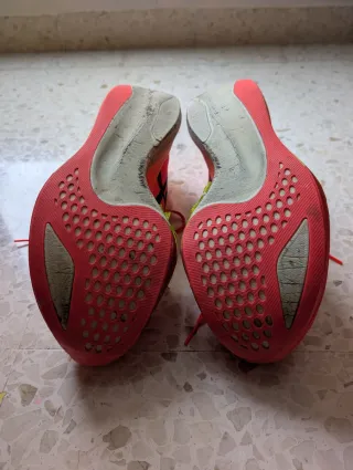 Asics Metaspeed Sky Paris Carbon Zapatillas