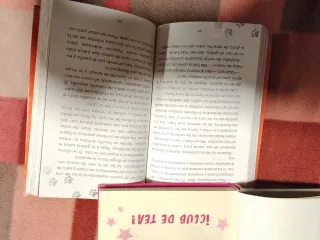 Lote de Libros infantiles de tea Stilton y max