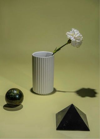 Fotografía al detalle profesional