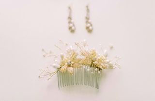 Fotografía al detalle profesional