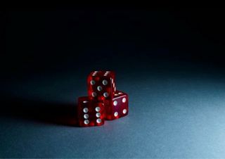 Fotografía al detalle profesional