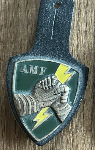 4 stemmi Battipetto rari e 3 spille militari