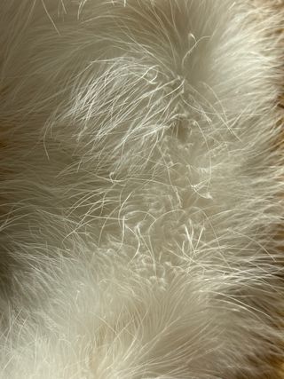 Adorno Corona Zara Home