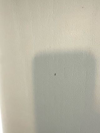 URGE vender Puerta interior blanca