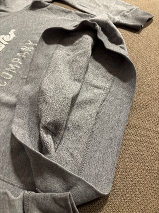 Sudadera Hollister Gris