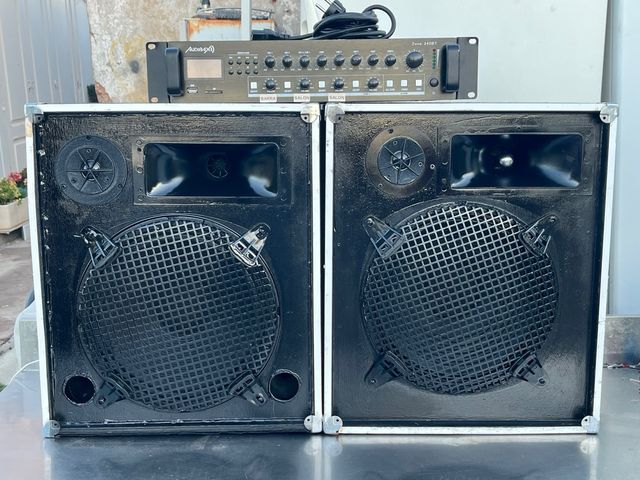 Altavoz Audioson Profesional