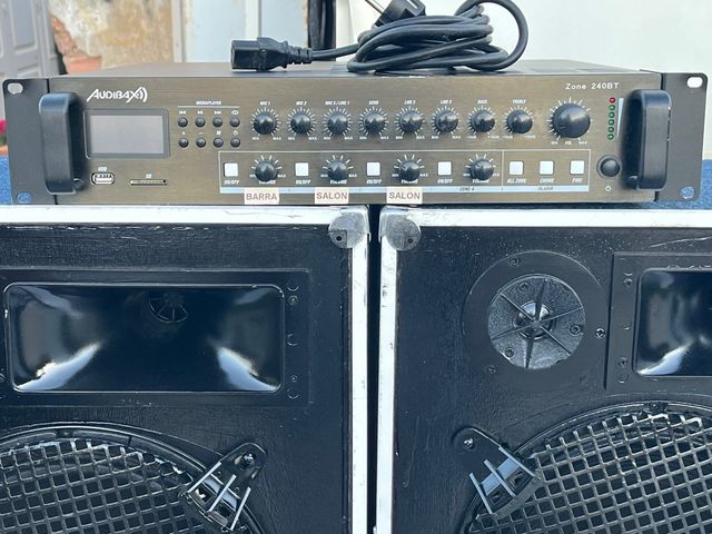 Altavoz Audioson Profesional