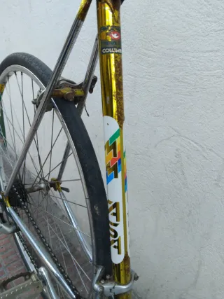 Bicicleta Ciclismo antigua