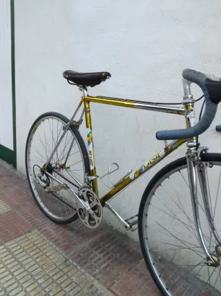 Bicicleta Ciclismo antigua