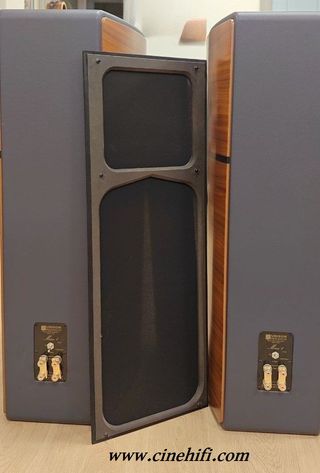 Unison Research Max 1