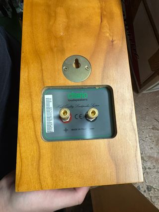 Altavoces Chario Marrones