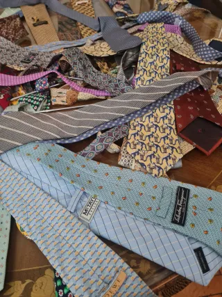 Corbatas de Lujo Variadas