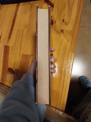 Artemis Fowl (Español)