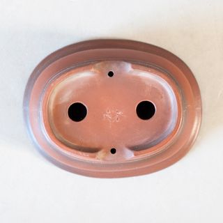 Maceta Bonsái Tokoname Japón - BIGEI - 15cm