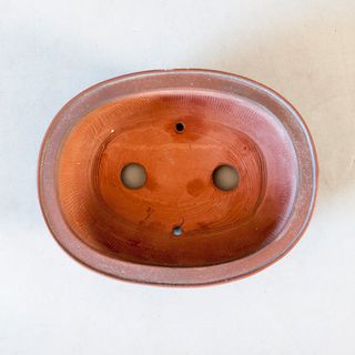 Maceta Bonsái Tokoname Japón - BIGEI - 15cm