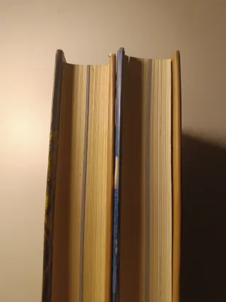 Pack 2 libros: Crónicas del Reino de la Fantasía