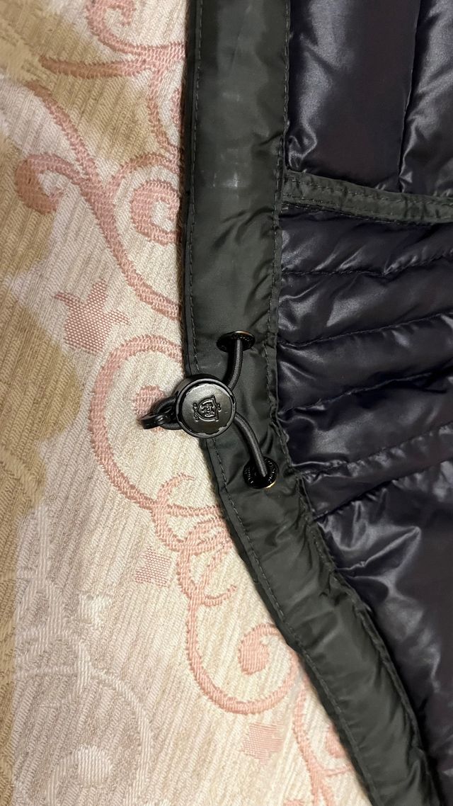 Chaqueta Massimo Dutti verde