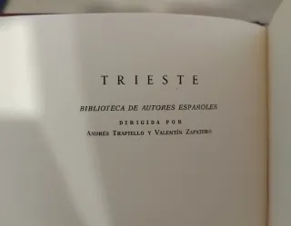 La patria oscura - Juan Manuel Bonet