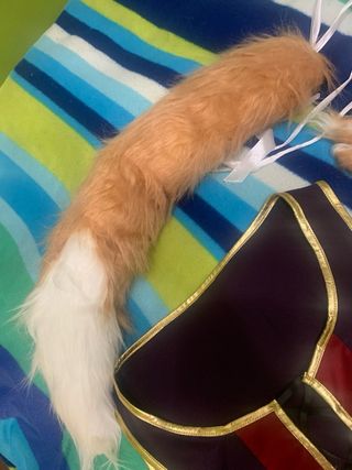 Cosplay Raphtalia Completo + Peluca