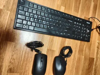 Teclado NGS + 2 ratones (Logitech + Dell)