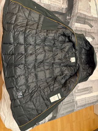 Cazadora verde hombre