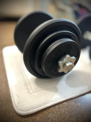 Mancuernas ajustables con discos