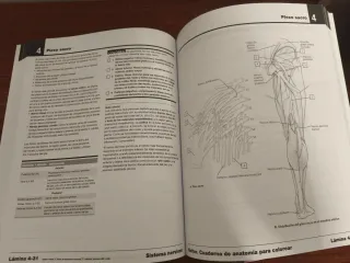 Netter Cuaderno de anatomía para colorear (2ª ed.)