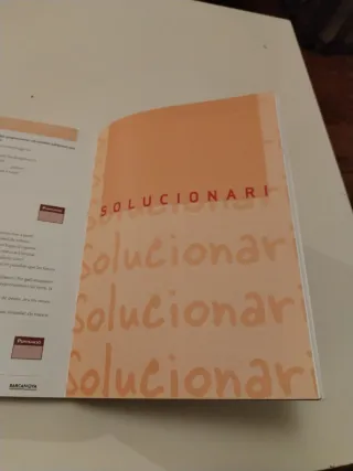 El català escrit. Nivell Suficiència.C1: Ortogr...