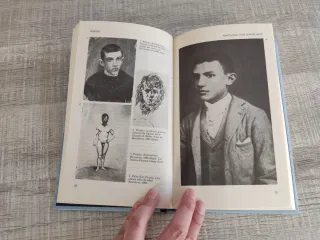 Picasso