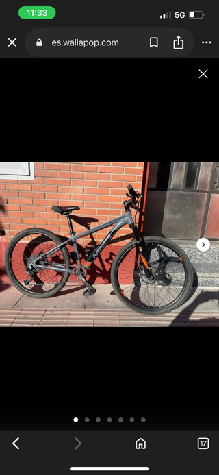 Bicicleta de montaña gris