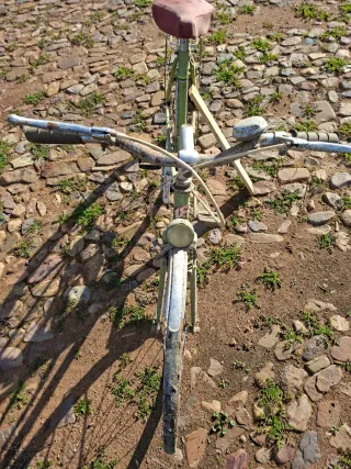 Bicicleta Orbea Clásica Verde