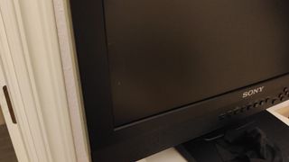 Monitor Profesional Sony LMD-2030W