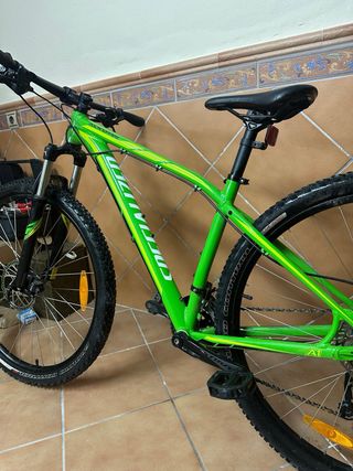 Bicicleta da mountain bike Specialized Rockhopper MTB verde