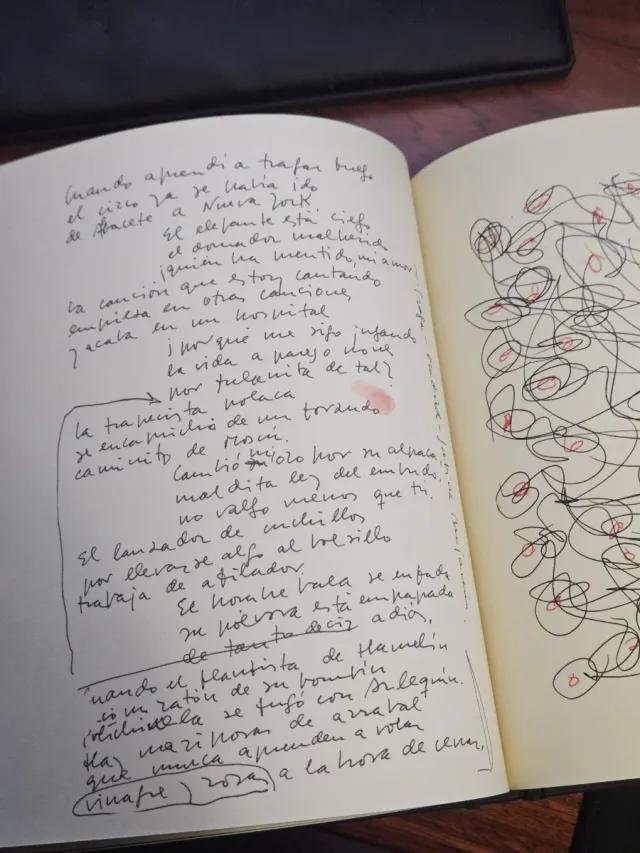 Sabina Vinagre y Rosas