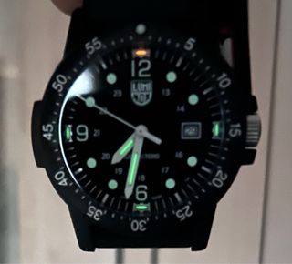 Reloj Luminox Sea Bass