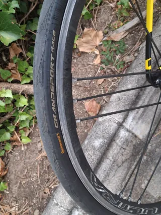 OFERTA! Bicicleta Wilier GTR Team Ultegra