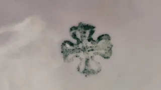 2 Antiche Fontane e 2 Piatti in Ceramica